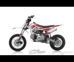 PIT BIKE THUNDER 110