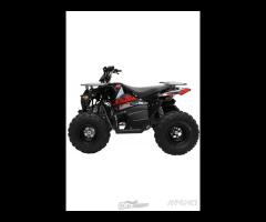 QUAD LEM HUMMER 125