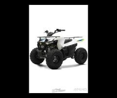 QUAD LEM HUMMER 125