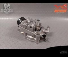 TESTA TESTATA honda crf 250 2014/17