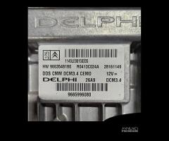 ECU  DELPHI  PEUGEOT 308 2.0 HDI 9665996080; 96635 - 2