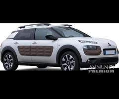 RICAMBI NUOVI C4 CACTUS 2014