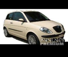 Ricambi NUOVI Lancia Ypsilon 2003 al 2006