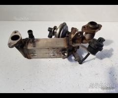 Refrigerante egr bmw X3 anno 2008 diesel - 2