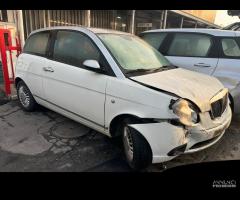 Ricambi Lancia Ypsilon 843A1000 2009