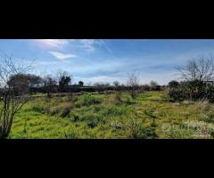 Terreno agricolo panoramico San Giovanni la punta