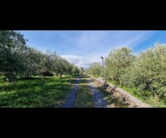 Terreno agricolo panoramico San Giovanni la punta