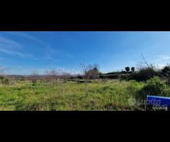 Terreno agricolo panoramico San Giovanni la punta