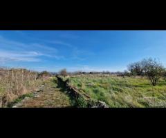 Terreno agricolo panoramico San Giovanni la punta - 6