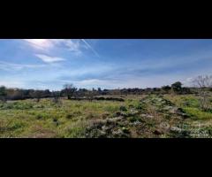 Terreno agricolo panoramico San Giovanni la punta - 7