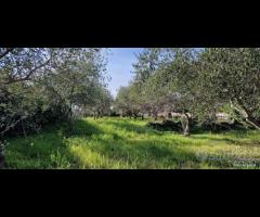 Terreno agricolo panoramico San Giovanni la punta - 9