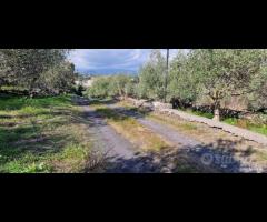 Terreno agricolo panoramico San Giovanni la punta - 13