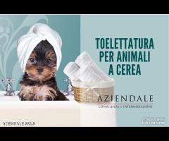 TOELETTATURA PER ANIMALI A CEREA