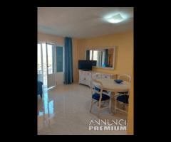 Multiproprietà a Palma de Maiorca settimana 32-33 - 15