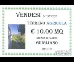 Terreno agricolo 2,5 moggi strada Parete/Giugliano