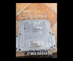 Centralina Motore Iniezione ECU PEUGEOT 307 965022