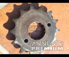 891-308K PIGNONE VERTEX 14 DENTI HONDA NX 650 Domi