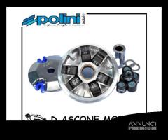 VARIATORE POLINI PEUGEOT RS BUXY LOOXOR TSDI SPEED