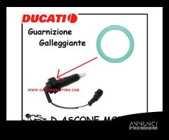 Guarnizione Galleggiante Ducati Monster Originale