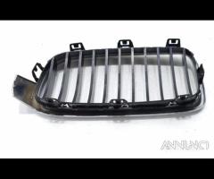 MASCHERINA ANTERIORE BMW Serie 3 F31 Touring 51137 - 10