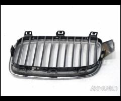 MASCHERINA ANTERIORE BMW Serie 3 F31 Touring 51137 - 11