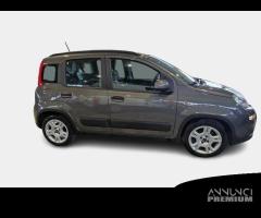 FIAT PANDA 1.0 FIREFLY S/S HYBRID CITY LIFE