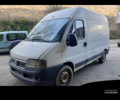 Ricambi Fiat Ducato 03 bianco 2300cc TD F1AE0481C