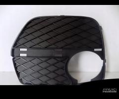 BMW X6 E71 GRIGLIA PARAURTI DESTRA - 3940