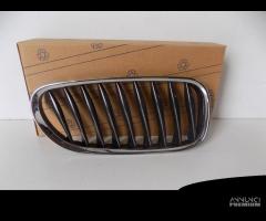 BMW Z4 E85 / E86 Rene / Griglia destra - 3866