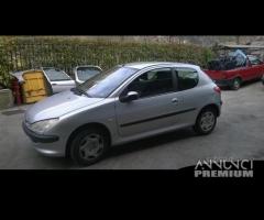 Ricambi Peugeot 206 3 porte 2003 colori vari