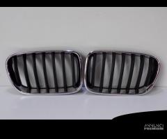 BMW X3 F25 Rene/ Griglia destra, sinistra - 4110 - 1