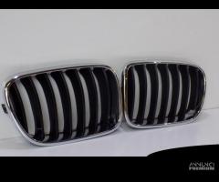 BMW X3 F25 Rene/ Griglia destra, sinistra - 4110 - 2