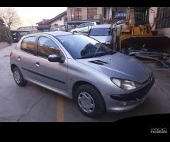 Ricambi Peugeot 206 2004 5 porte vari colori