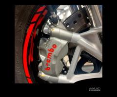 Coppia pinze freno brembo m50 interasse 100