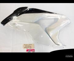 Fiancata lato destra vetroresina BMW S1000RR 09-18