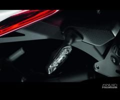 COPPIA FRECCE POSTERIORI LED DUCATI PERFORMANCE