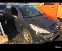 Ricambi Peugeot 206 Plus 1.4 HDI 5 porte 2010