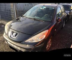 Ricambi Peugeot 206 Plus 1.4 HDI 5 porte 2010