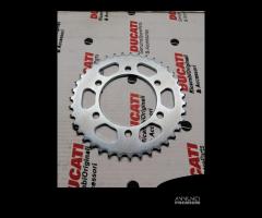 Corona z 39 passo 520 Per ducati Monster 600/900