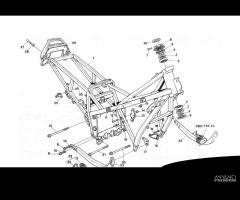 Vita Leva Freno Ant.per Ducati Paso 77910121A