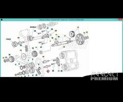 Perno Tenditore Mob.x Ducati 748Rs/996Rs 45110231A