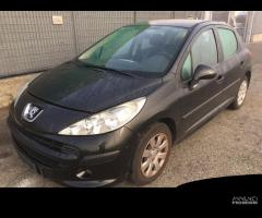 Ricambi Peugeot 207 1.4 HDI 5 porte 2007