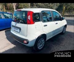 Fiat Panda fiat