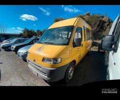 DUCATO SCUOLA BUS 16 POSTI piÃ¹ 2 conducenti