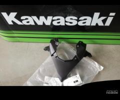 Supporto frecce Kawasaki Z 650