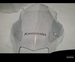 Cupolino/Parabrezza Kawasaki Ninja 1000 SX