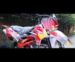 Pitbike 125 / 140 / 160 tt 2024 redbull 17.14 gara