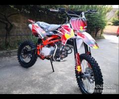 NUOVE Pit Bike 125 / 140 17-14 REDBULL KTM 2024