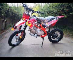 NUOVE Pit Bike 125 / 140 17-14 REDBULL KTM 2024