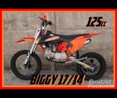 NUOVE PitBike 125 / 140 REPLICA KTM REDBULL 17/14